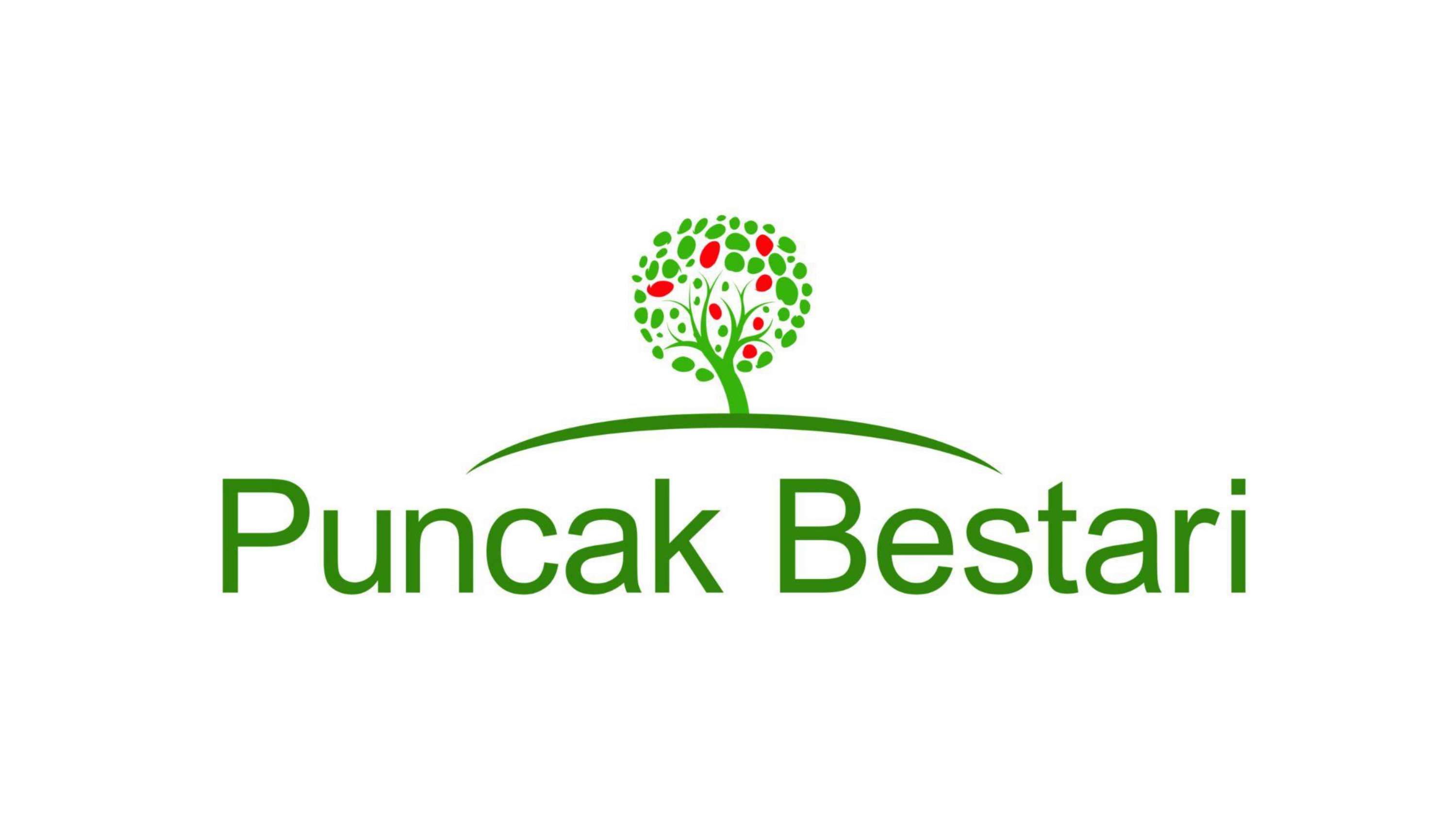 Client logo 41